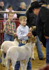 Tylers Grand Champion.jpg (65361 bytes)